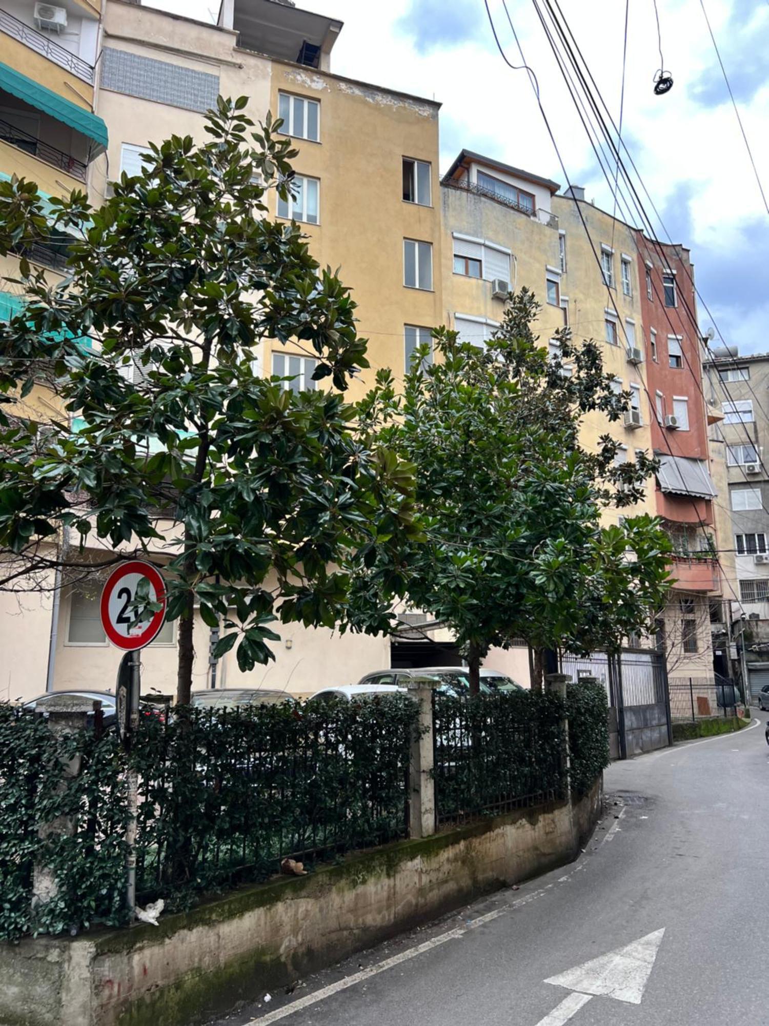 Tirana Center Apartment Dış mekan fotoğraf